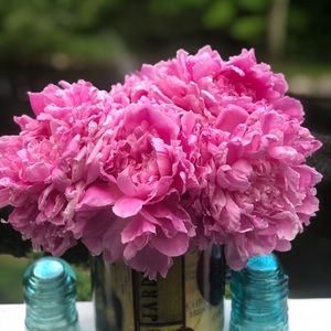 Meet your Posher, Posh